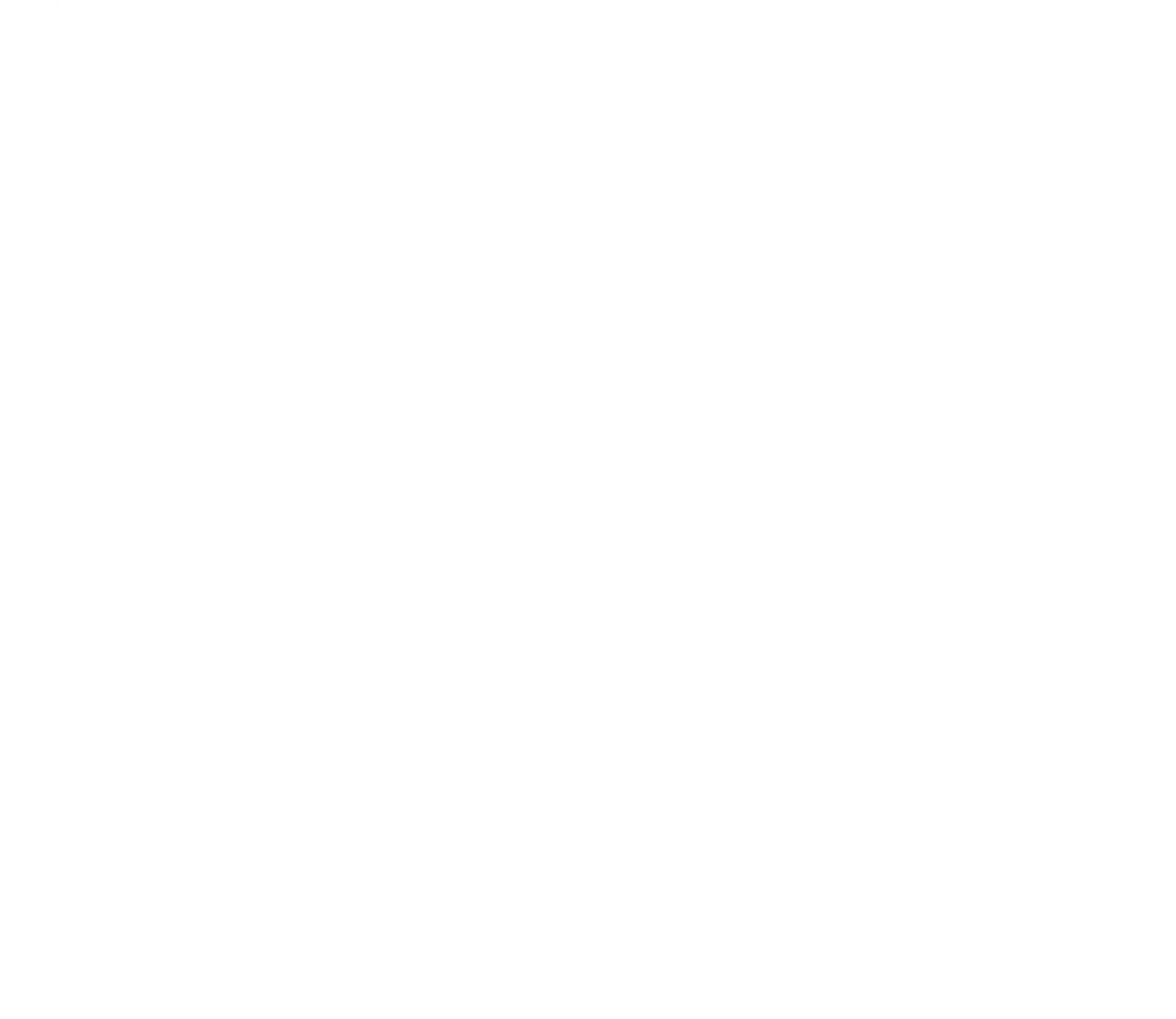 reset sports Logo weiss